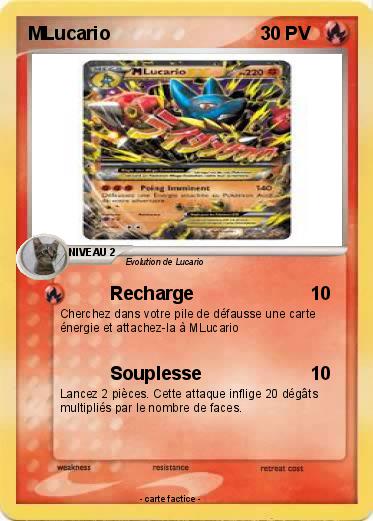 Pokemon MLucario