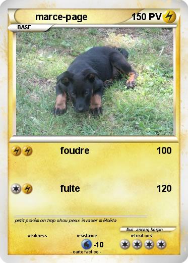 Pokemon marce-page