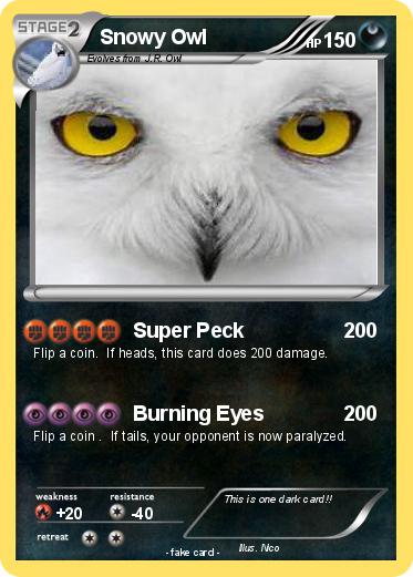 Pokemon Snowy Owl