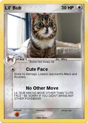 Pokemon Lil' Bub