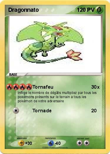 Pokemon Dragonnato