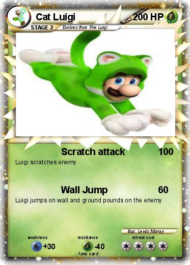 Pokemon Cat Luigi