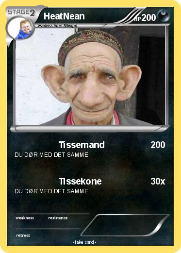 Pokemon HeatNean