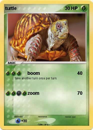 Pokemon turtle