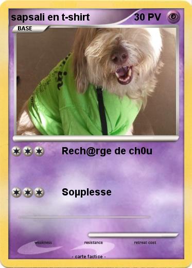 Pokemon sapsali en t-shirt