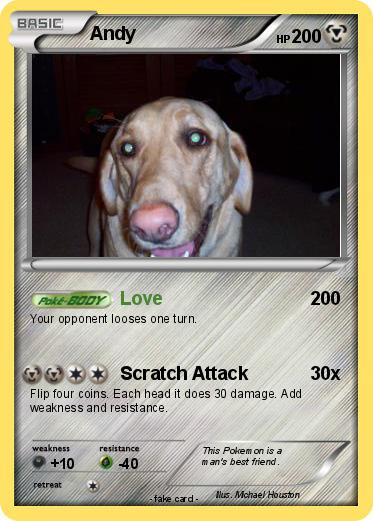Pokemon Andy