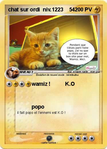 Pokemon chat sur ordi  niv.1223    54