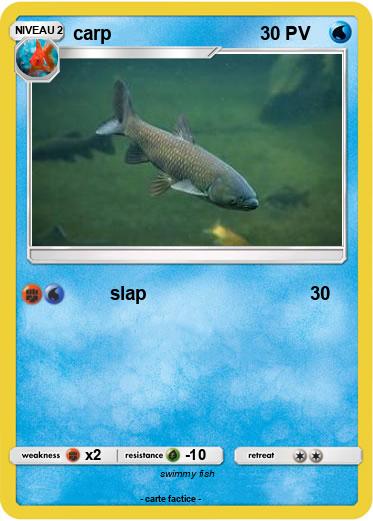 Pokemon carp
