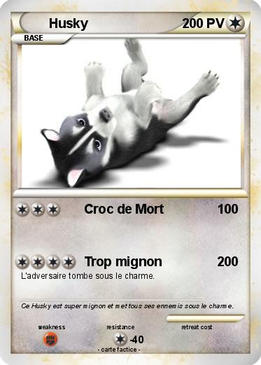 Pokemon Husky