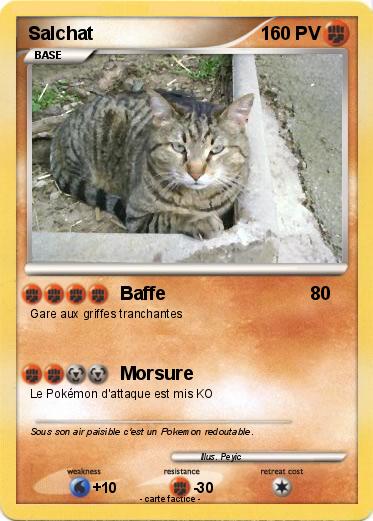 Pokemon Salchat