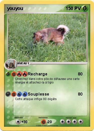 Pokemon youyou