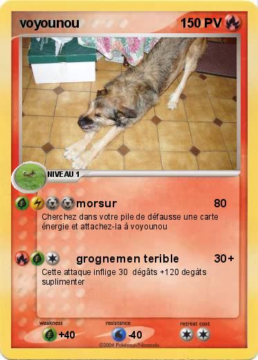Pokemon voyounou