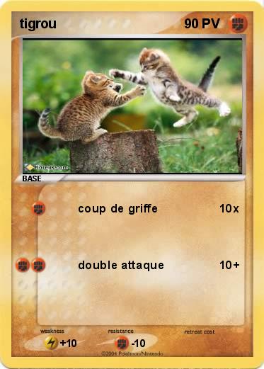 Pokemon tigrou