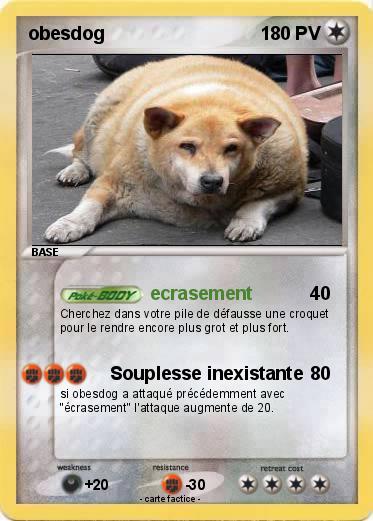 Pokemon obesdog