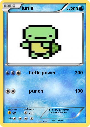 Pokemon turtle
