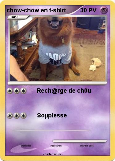 Pokemon chow-chow en t-shirt