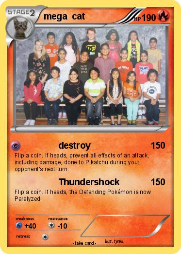 Pokemon mega  cat