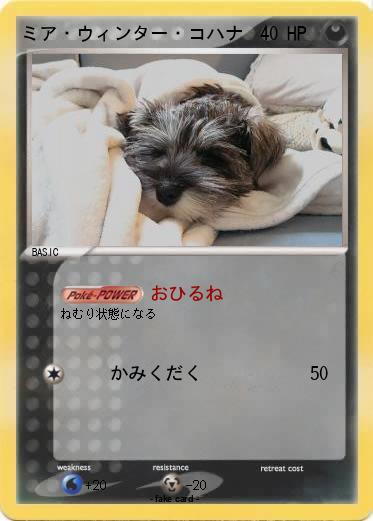 Pokemon ミア・ウィンター・コハナ