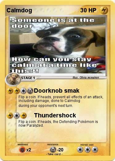 Pokemon Calmdog