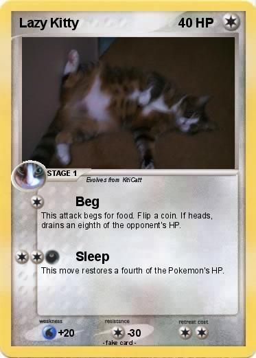 Pokemon Lazy Kitty