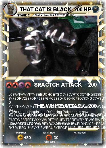 Pokemon THAT CAT IS BLACK