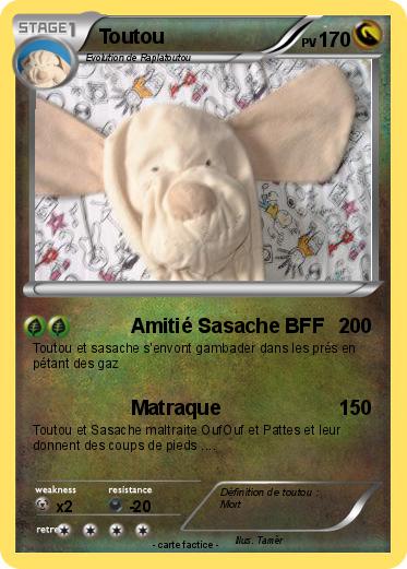 Pokemon Toutou