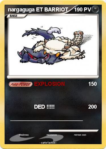 Pokemon nargaguga ET BARRIOT