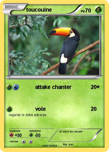 Pokemon toucouine