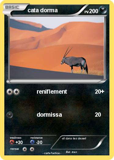 Pokemon cata dorma