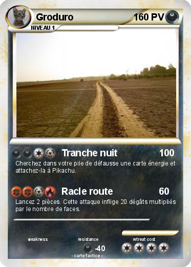 Pokemon Groduro