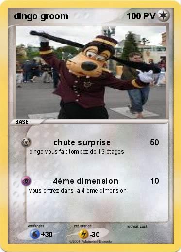 Pokemon dingo groom  