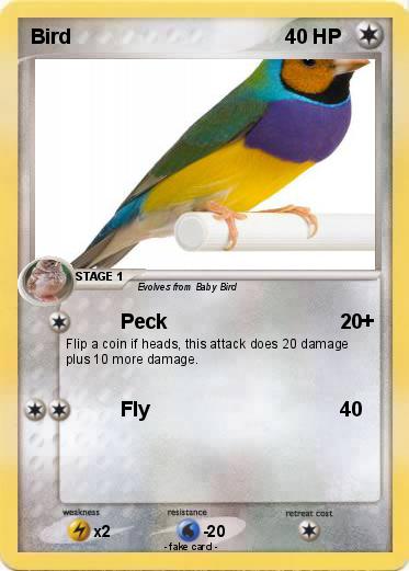 Pokemon Bird
