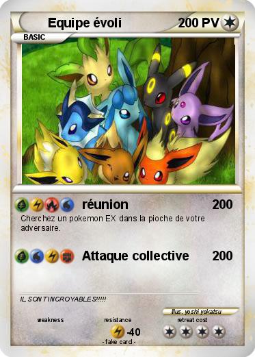 Pokemon Equipe évoli