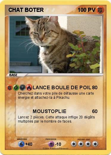 Pokemon CHAT BOTER