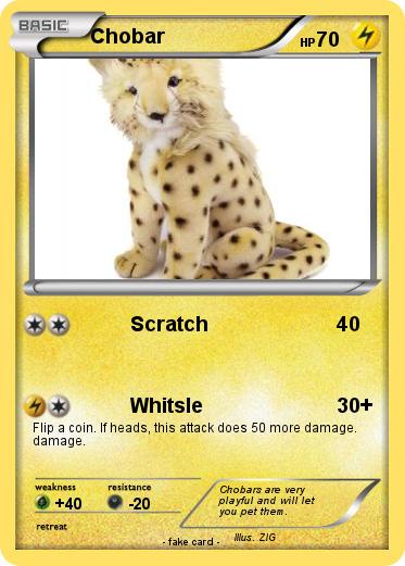 Pokemon Chobar