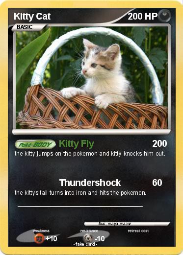 Pokemon Kitty Cat