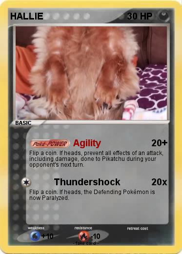 Pokemon HALLIE