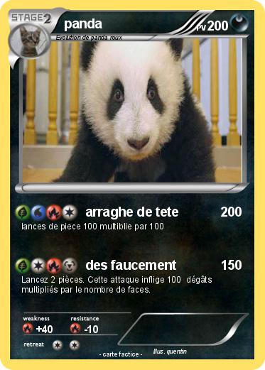 Pokemon panda