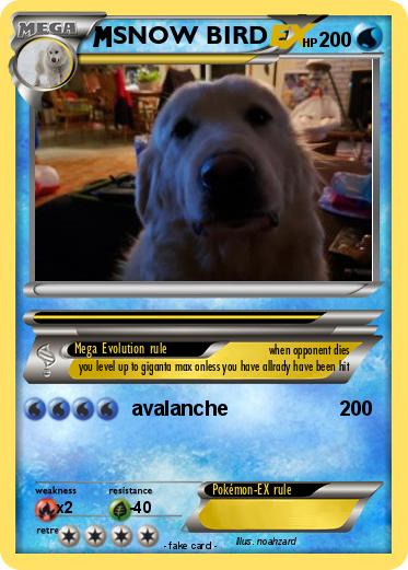 Pokemon SNOW BIRD