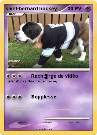 Pokemon saint-bernard hockey