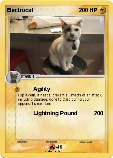 Pokemon Electrocat