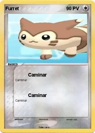 Pokemon Furret