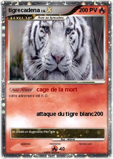 Pokemon tigrecadena