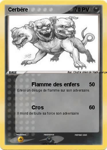 Pokemon Cerbère