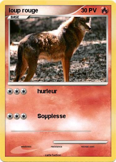 Pokemon loup rouge