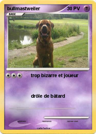 Pokemon bullmastweiler