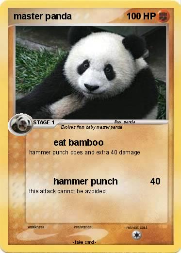 Pokemon master panda