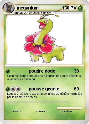 Pokemon meganium