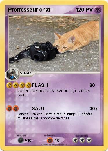 Pokemon Proffesseur chat