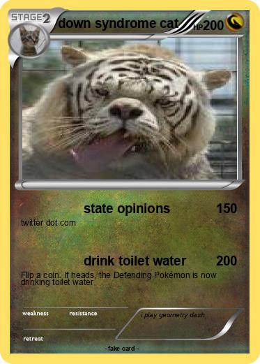 Pokemon down syndrome cat